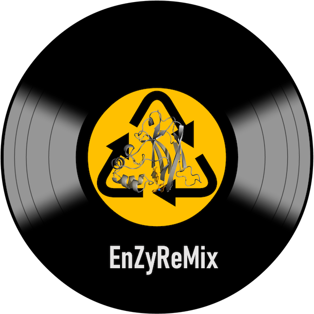 EnZyReMix logo small